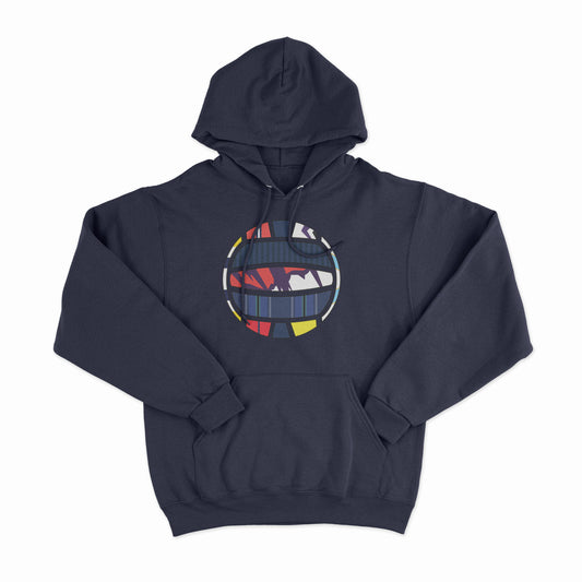 Scotland Football Hoodie