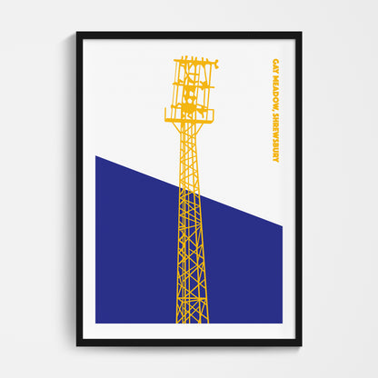 Shrewsbury Floodlights Print